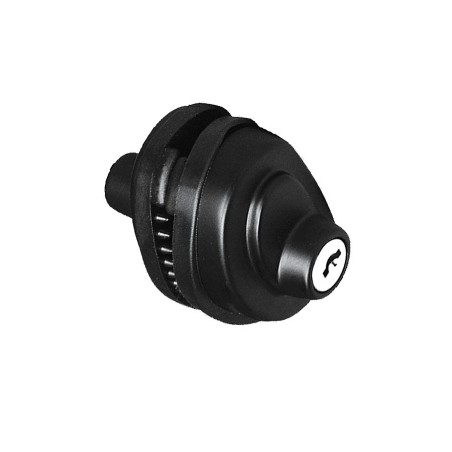 Verrou de pontet à clef