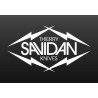 Thierry Savidan 